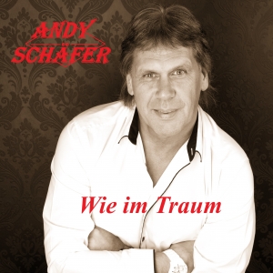 Andy Schäfer - Wie im Traum