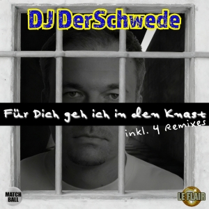 DJ DerSchwede - F�r Dich geh ich in den Knast