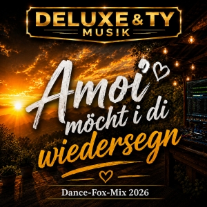 DJ MIKE DELUXE & DJ TY - Amoi möcht i di wiedersegn
